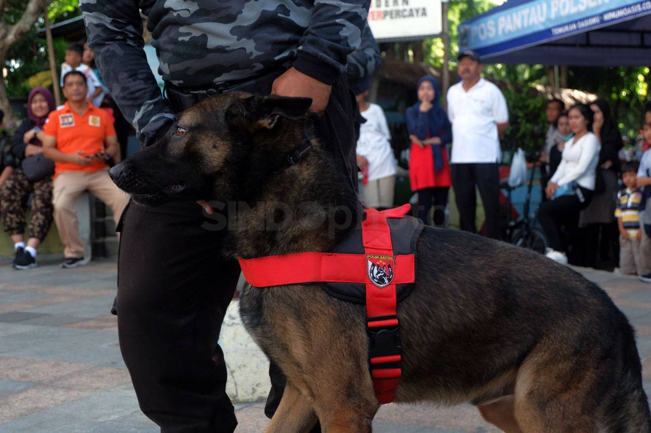 Detasemen K-9 Mabes...