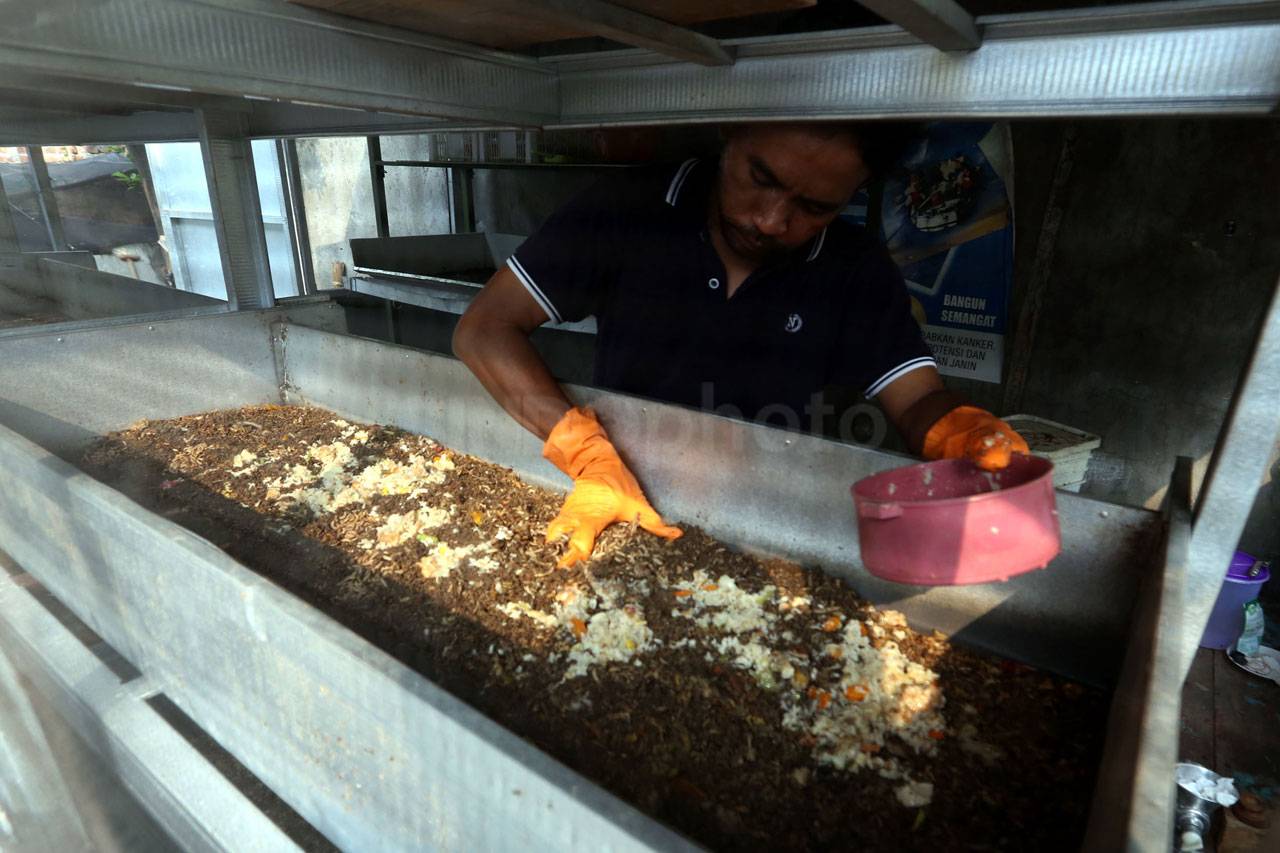 Budidaya Larva, Manfaatkan...