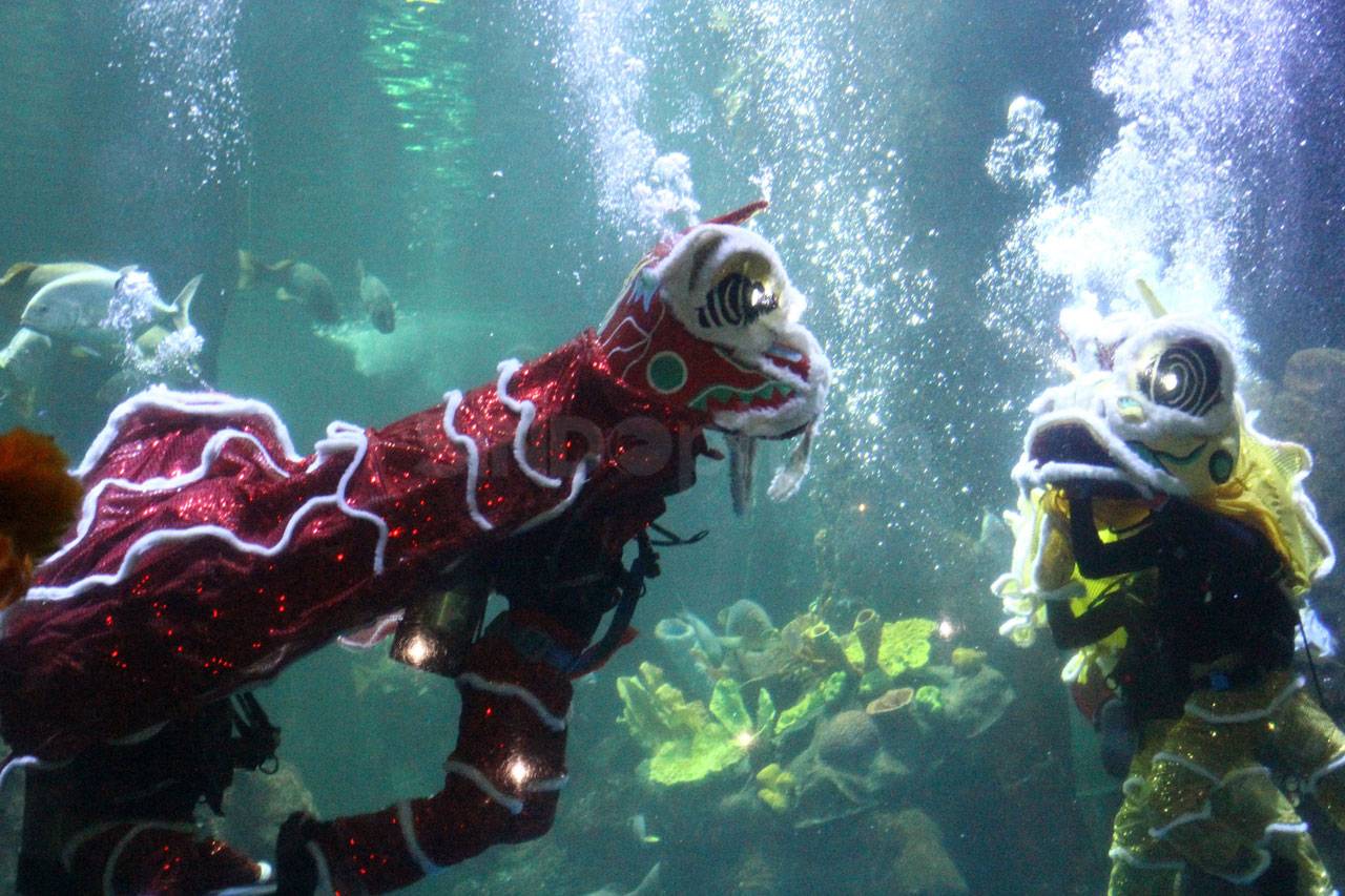 Barongsai Beraksi di...