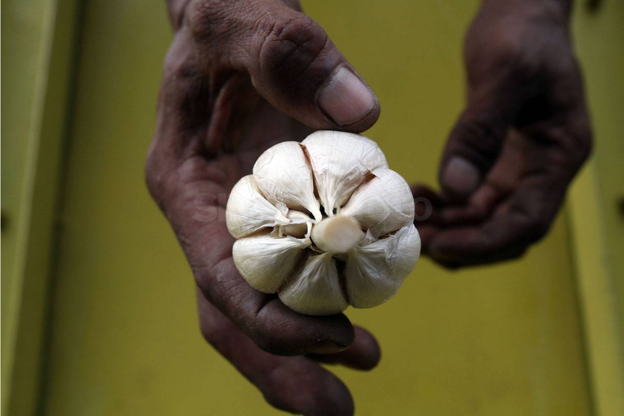 Harga Bawang Putih Impor...
