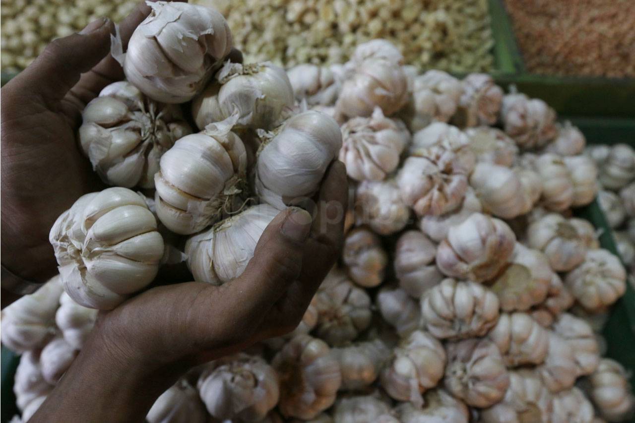 Harga Bawang Putih Impor...