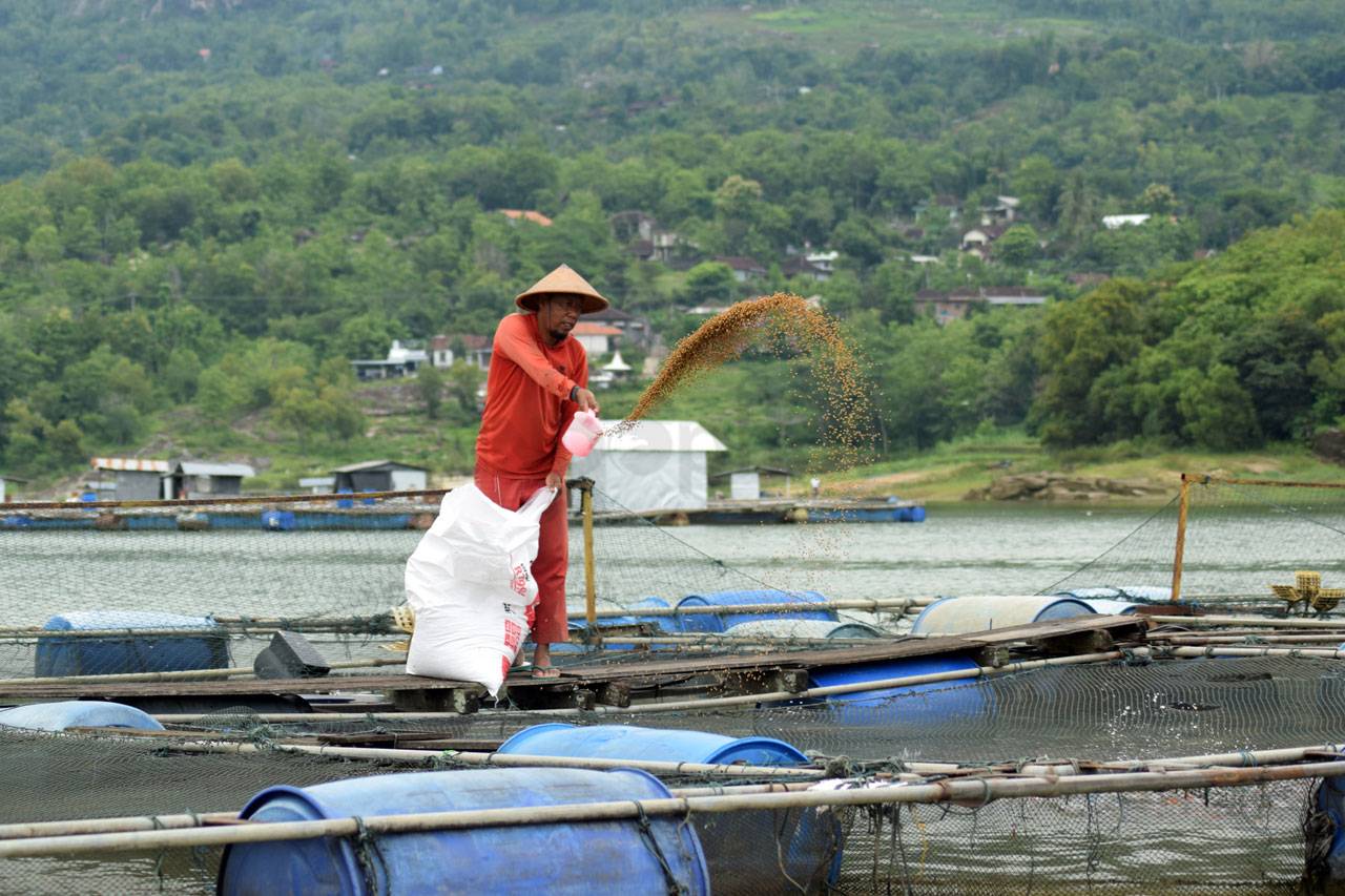 Karamba Jaring Apung...