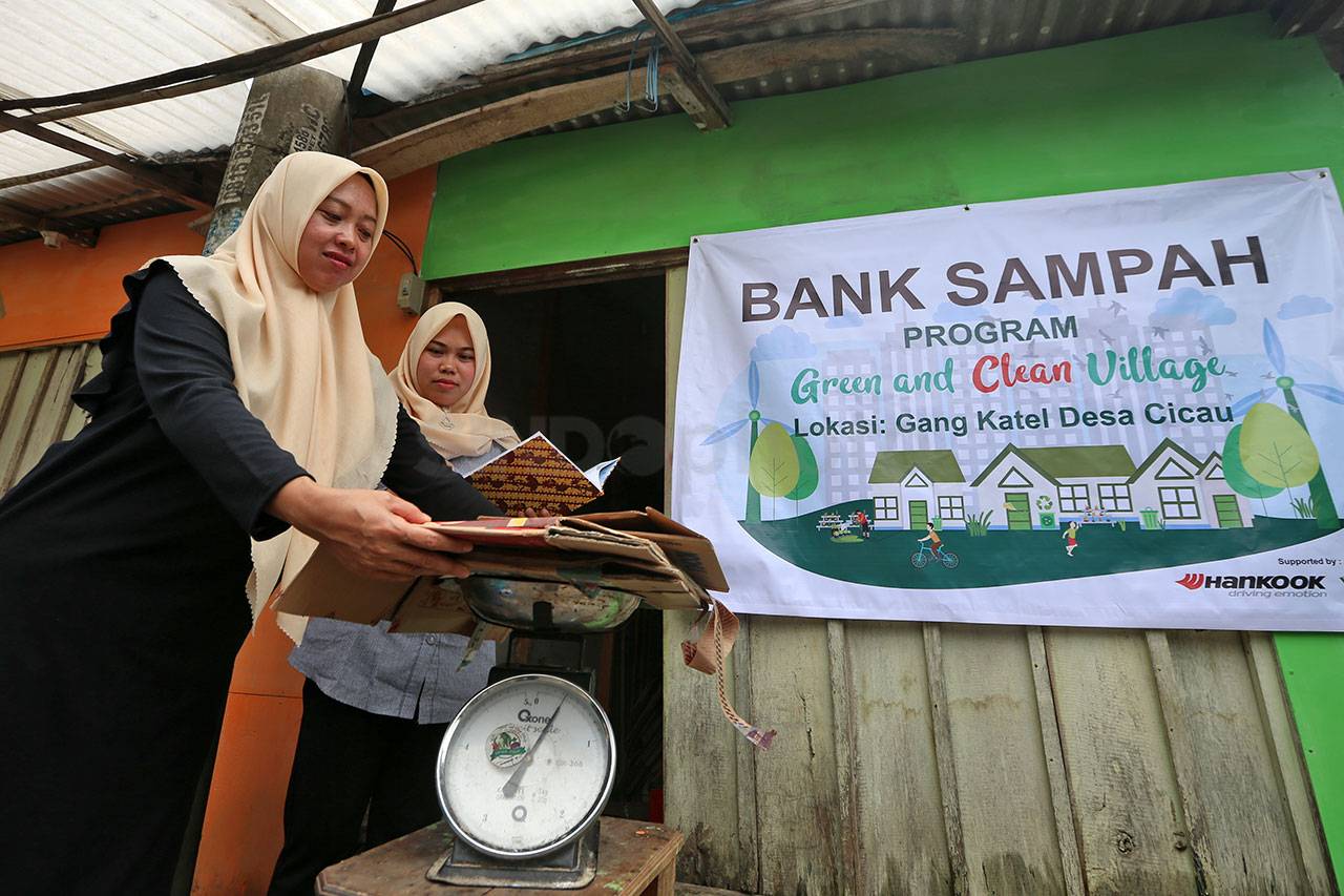 Panen Sayur Organik...