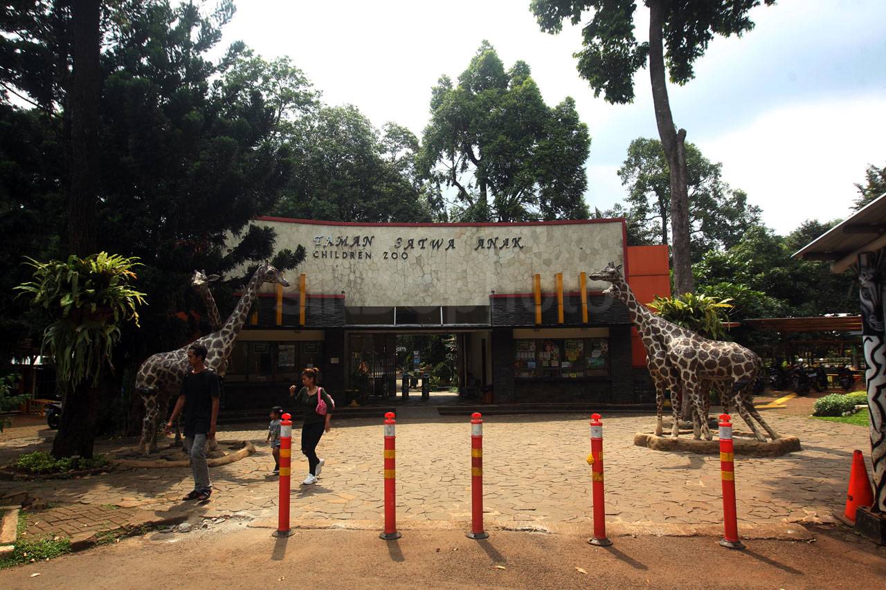 Corona Masuk Indonesia,...