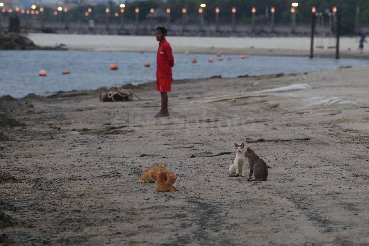 Suasana Pantai Ancol...