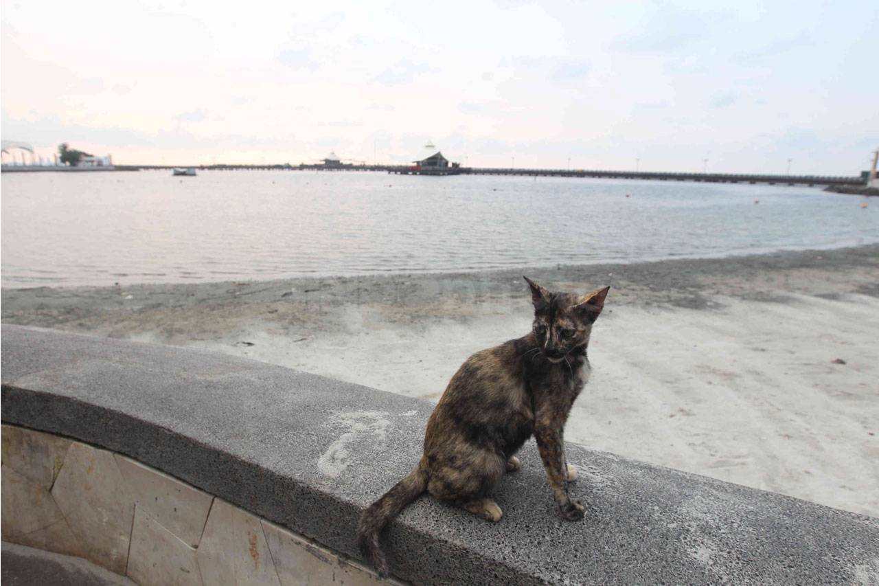 Suasana Pantai Ancol...
