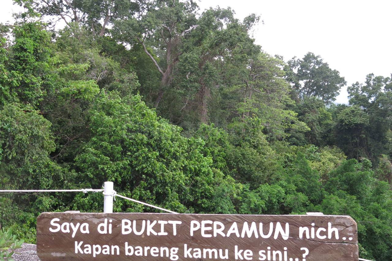 Menjelajah Hutan Masa...