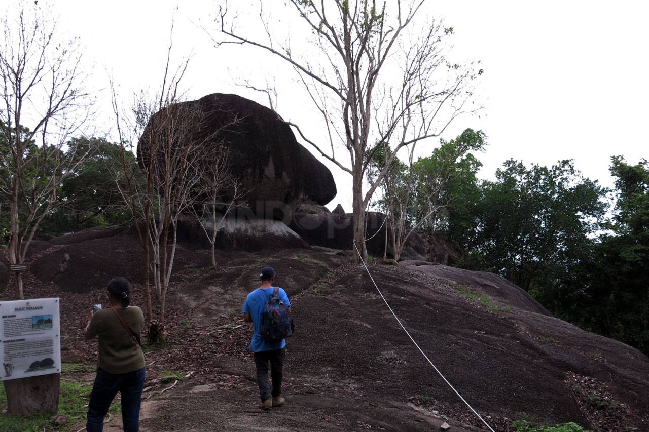Menjelajah Hutan Masa...