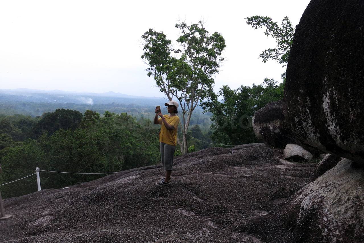 Menjelajah Hutan Masa...