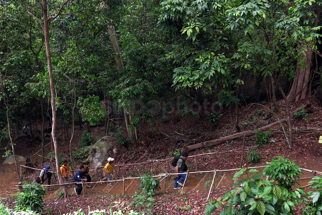 Menjelajah Hutan Masa...