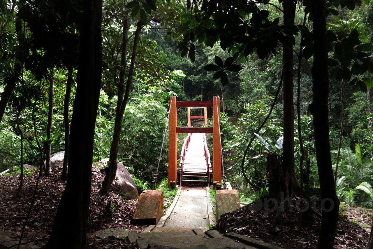 Menjelajah Hutan Masa...