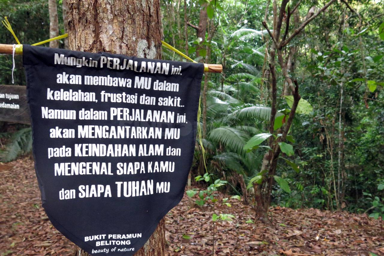 Menjelajah Hutan Masa...