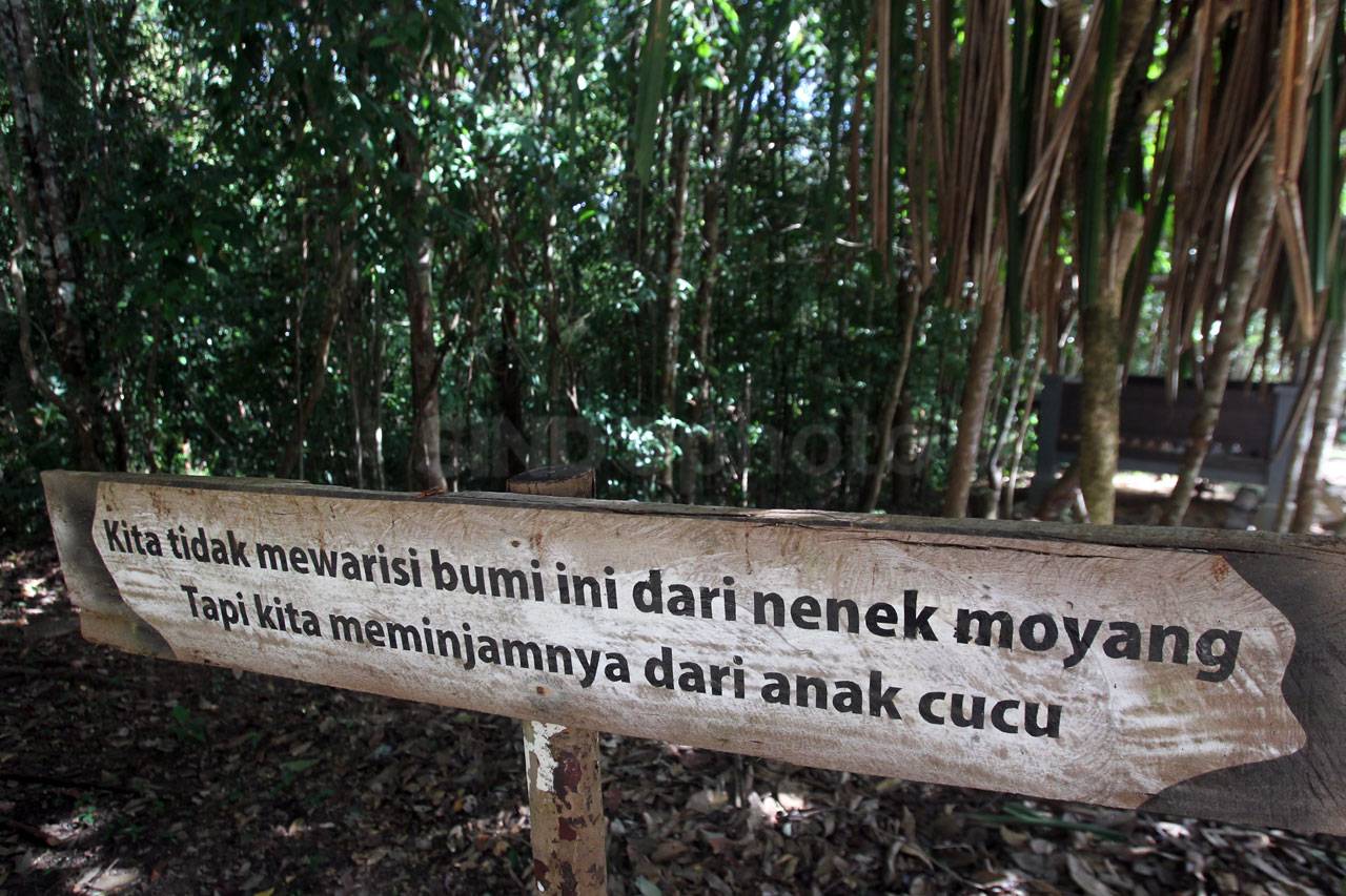 Menjelajah Hutan Masa...