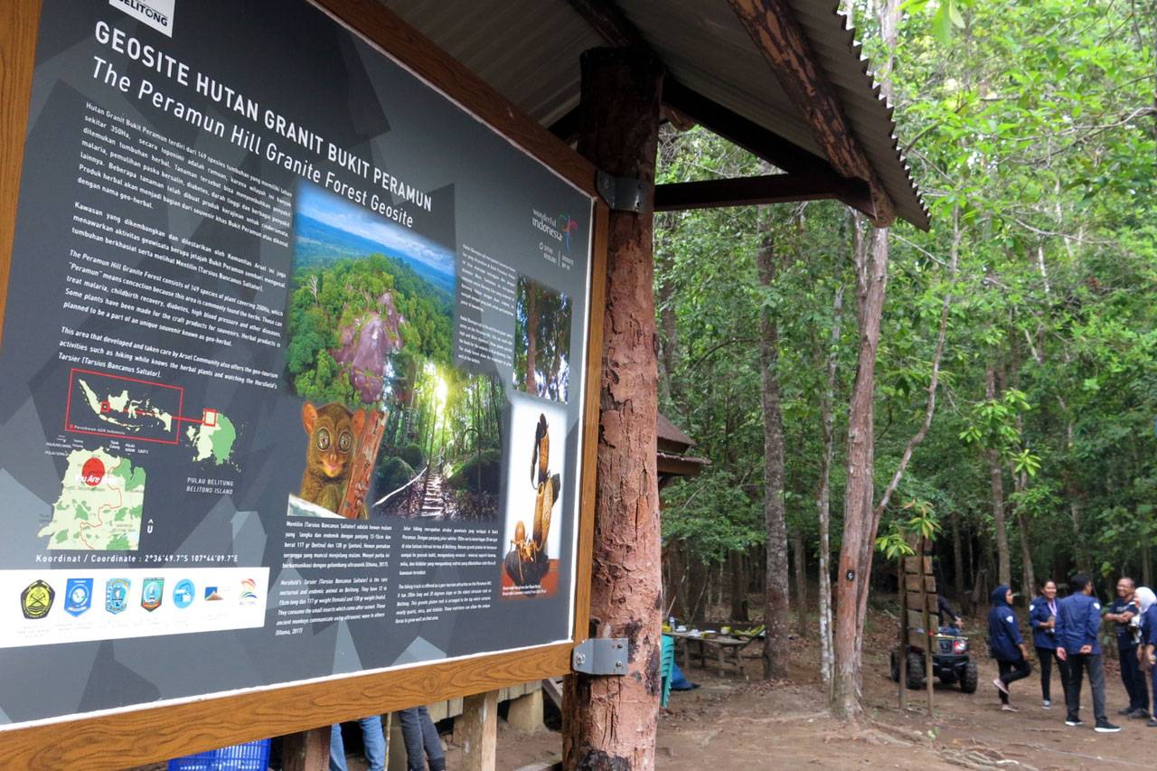 Menjelajah Hutan Masa...
