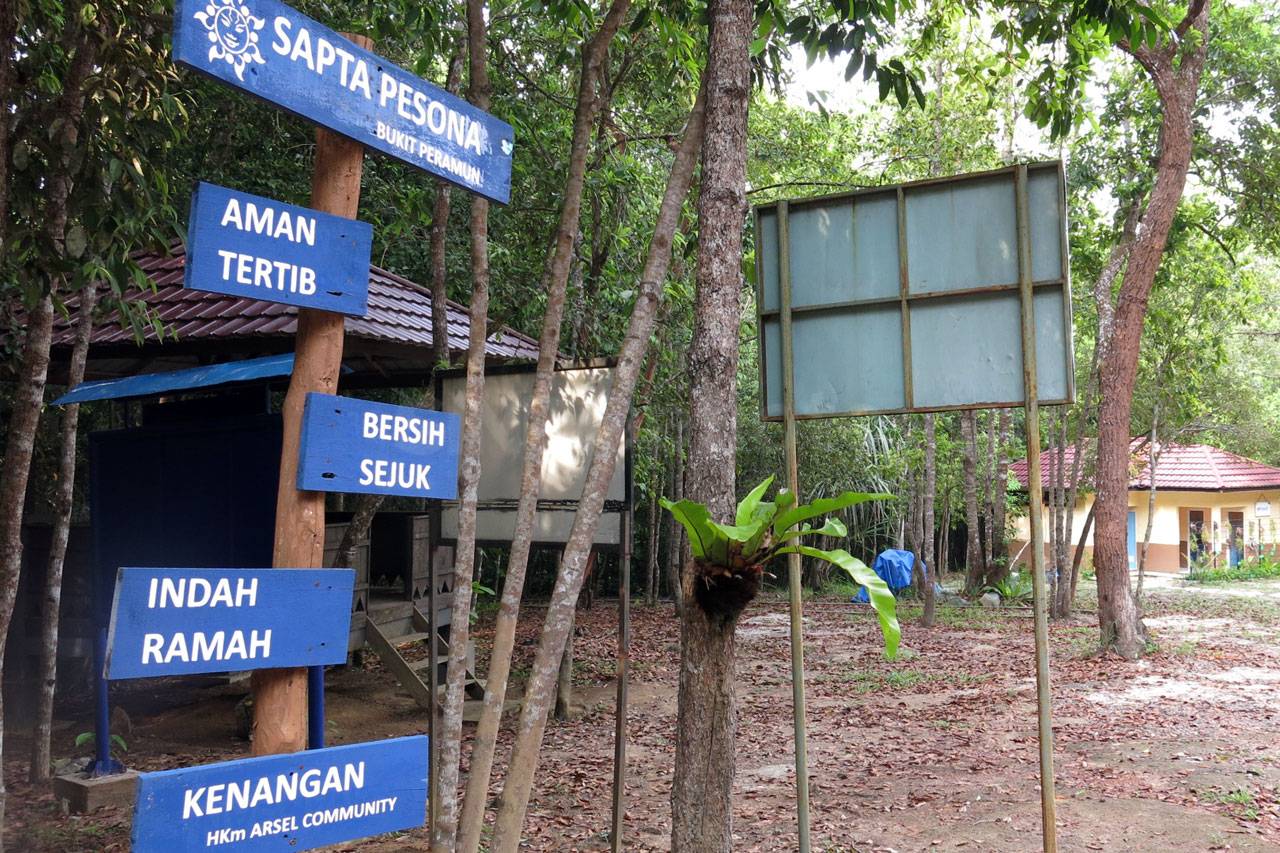 Menjelajah Hutan Masa...