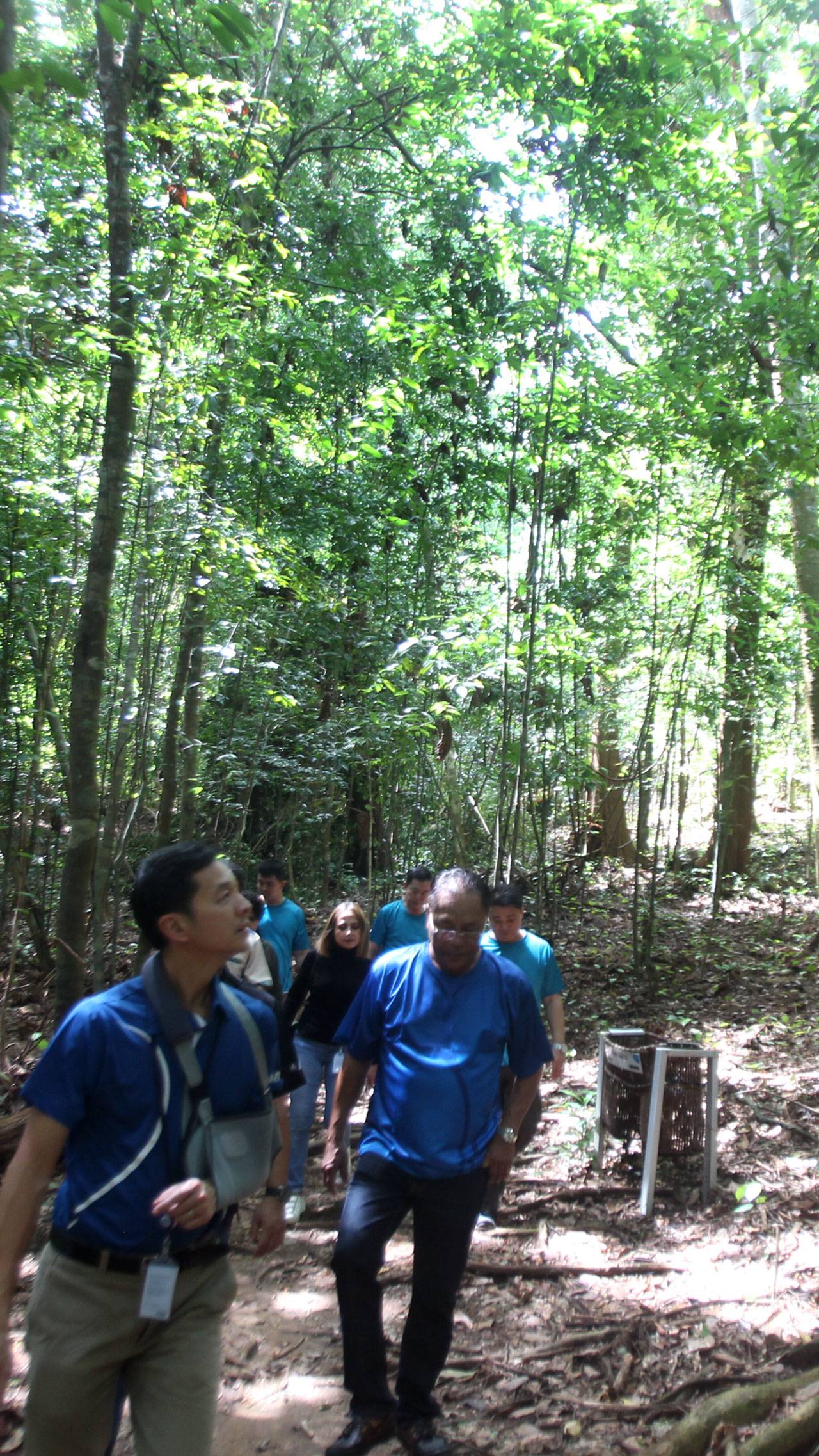 Menjelajah Hutan Masa...