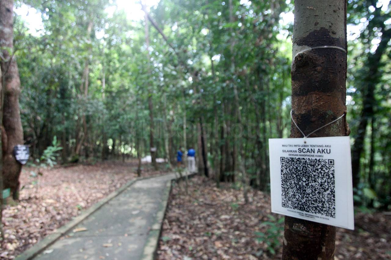 Menjelajah Hutan Masa...