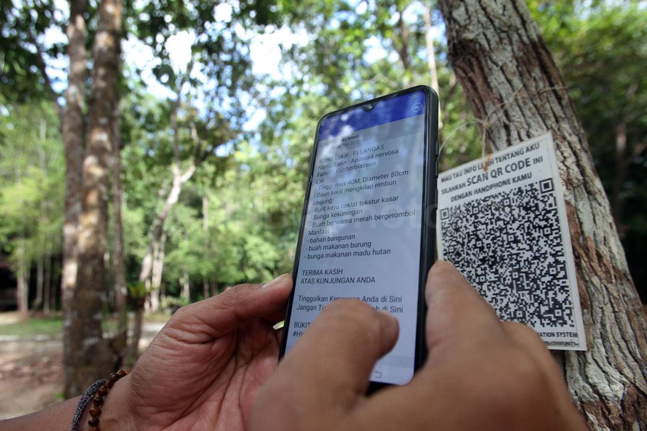 Menjelajah Hutan Masa...