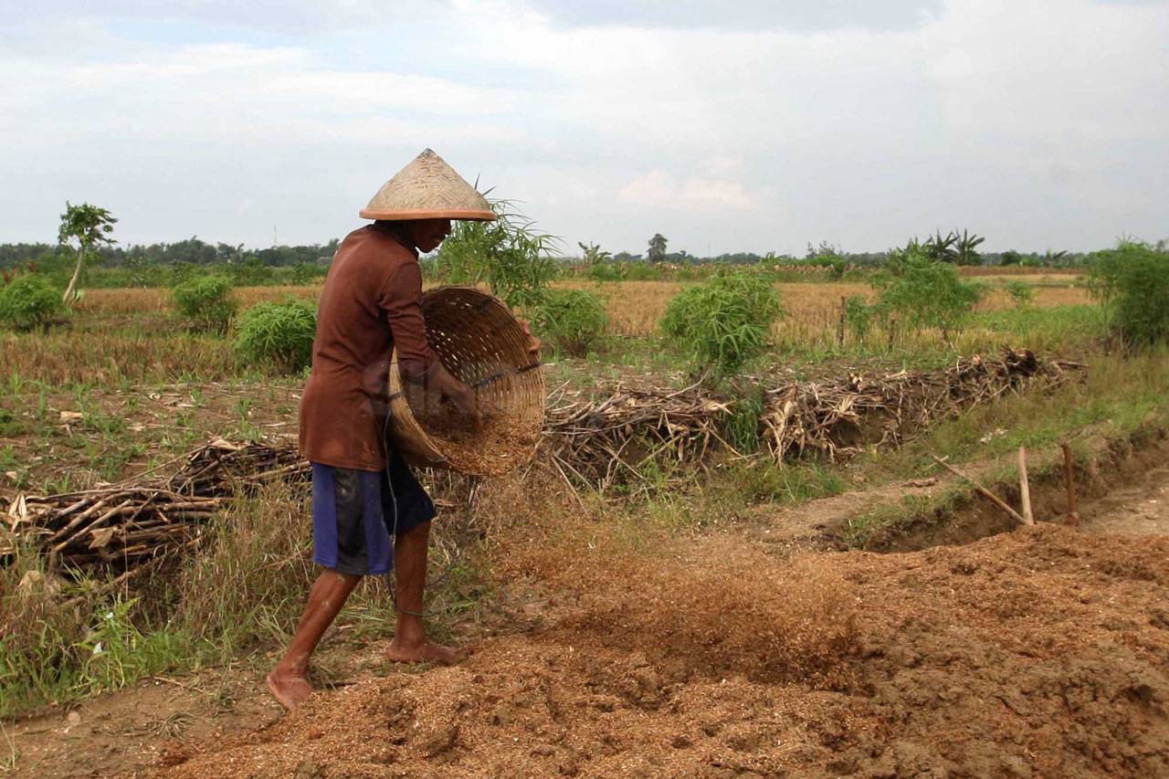 Musim Hujan, Produksi...